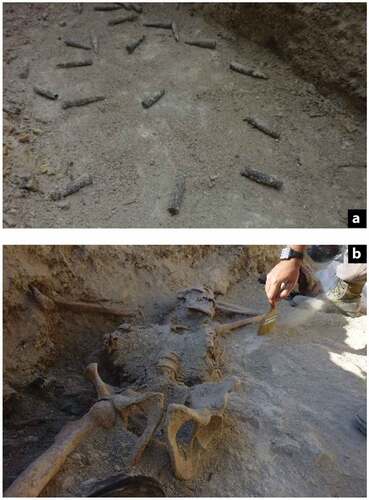 Figure 3. (a) Hundred cartridges and pods recovered in the trenches show the hard battle of Raimats (Photo: Didpatri-Ub). (b) Some combatants were buried by the explosions (Photo: Didpatri-Ub)(Photo: Didpatri-Ub).