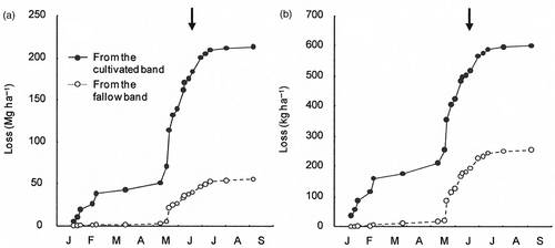 Figure 3. Cumulative loss of (a) soil particles and (b) coarse organic matter (COM) from the cultivated band and fallow band. Arrows represent the sowing date (on June 19, 2008). Pearl millet was harvested at the middle of October.