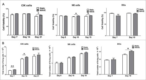 Figure 2. Cell viability and counting. Growth profile of CIK cells, DCs, and NK cells in the traditional group or the WAVE bioreactor were detected and demonstrated in the plots. The significant difference in cell viability between the two groups was monitored by Kruskal-Wallis test(*, P < 0.05). (A) The viable cells percentage in total cells. (B) The viable cell number in the two groups.