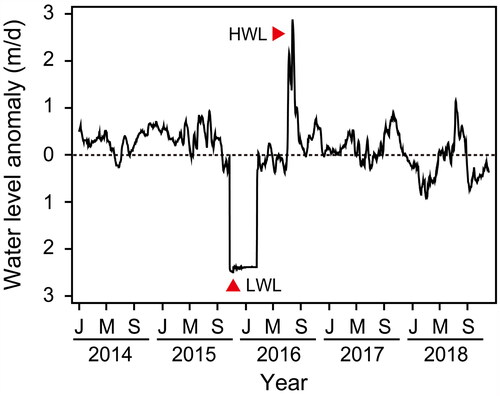 Figure 2. Extreme water level events recorded over the full time series in Changhu Lake. LWL, extremely low water level event; HWL, extremely high water level event.