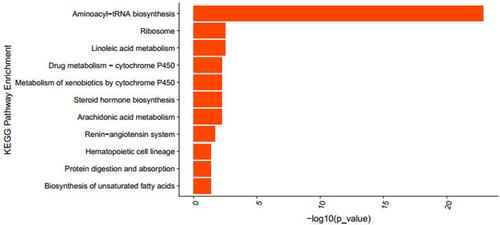 Figure 6 The KEGG pathway analysis of DEGs. The vertical axis showed the significantly enriched pathways with p-value < 0.05.