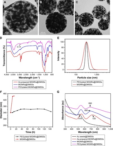 Figure 3 (A–C) TEM images of PEGylated MGNRs@DMSSs at different magnifications, (D) FT-IR spectra of as-prepared MGNRs@DMSSs, MGNRs@DMSSs, and PEGylated MGNRs@DMSSs. (E) Dynamic light scattering (DLS) of MGNRs@DMSSs and PEGylated MGNRs@DMSSs. (F) Long-term colloidal stability of MGNRs@DMSSs and PEGylated MGNRs@DMSSs in RMPI-1640 with 10% calf serum. (G) UV-vis-NIR spectra of Au Seeds@DMSSs, as-prepared MGNRs@DMSSs, MGNRs@DMSSs, and PEGylated MGNRs@DMSSs.Abbreviations: TEM, transmission electron microscopy; PEGylated MGNRs@DMSSs, PEG-modified multiple gold nanorices in dual-mesoporous silica nanospheres; FT-IR, Fourier transform infrared spectroscopy; as-prepared MGNRs@DMSSs, as-prepared multiple gold nanorices in dual-mesoporous silica nanospheres; MGNRs@DMSSs, extracted multiple gold nanorices in dual-mesoporous silica nanospheres; Au Seeds@DMSSs, gold seeds encapsulated dual-mesoporous silica nanospheres.