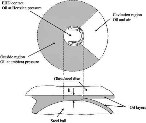 Figure 2. Pictorial representation of a single point contact showing the flooded and cavitated regions around the Hertzian contact. Reproduced from Jablonka et al. (Citation37) with permission.