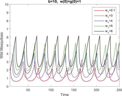 Figure 7. Parameters are given in Equation (Equation23(23) a=2.5,μ1=0.2,ξ1=0.3,μ2=0.2,ξ2=0.3,(23) ). Only the components of the wild mosquitoes are presented in this figure. Clearly, both the maximum and minimum values of the periodic solution with smaller w1 and hence larger g1 are smaller than those with larger w1 and hence smaller g1.