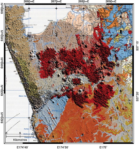 Figure 6. Geology from map of Edbrooke (Citation2001) with South Auckland Volcanic Field in red draped on analytical signal from the magnetic data as a sun-shaded relief image with northeast ‘sun illumination’. Graticule: NZMG, grid interval 10 km. Base map: Copyright Reserved, GNS Science.