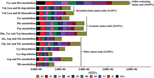 Figure 6. Annotation analysis of KEGG pathways at level 3.