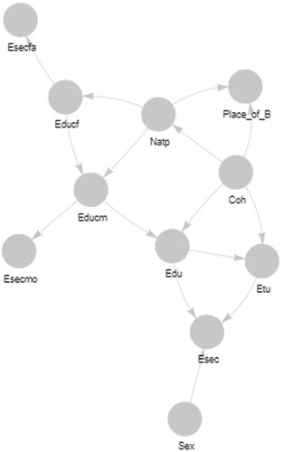 Figure 2. Results of the Bayesian network model. Coh = birth cohort; Sex = gender; Natp = nationality of parents; Educm = mother’s level of education; Educf = father’s level of education; Esecmo = mother’s European socioeconomic class; Esecfa = father’s European socioeconomic class; Edu = respondent’s level of education; Etu = Person still in education or not; Esec = European socioeconomic class of respondent. Reading note: The Bayesian network model has been estimated on the overall respondent sample present in the lives Cohort study wave 5 (migrants and Swiss native children). All variables are considered to be nominal. An arrow indicates a direct dependance between two variables, the head indicating the direction of the dependency. For example, the distribution of Edu (respondent’s reached level of education) is dependent from the variable Educm (respondent’s mother’s level of education). Converging edges to a same dependent variable from two (or more) variables indicate an interacting effect of these two variables on the dependent variable. One example is the interacting effects of both Educm and Coh – the cohort variable – on Edu. These effects are detailed in Figure 3. These interacting effects can also be interpreted as having a moderating effect – for example, the moderating effect of Coh on the dependence between Educm and Edu: the distribution of the respondent’s reached level of education according to the education level of his/her mother differs according to the respondent cohort of belonging. Two successive arrows linking three variables indicate a mediating effect. For example, the effect of the respondent’s mother’s level of education on the respondent’s social position on the labour market (Esec variable) is mediated by the respondent’s reached level of education. Relations described by arrows are all statistically significant (see the methodology section for details of the scoring procedure used to detect significance).