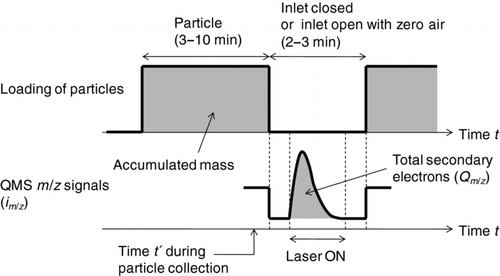 FIG. 2 Data acquisition procedure for the semicontinuous mode. The time for accumulating particles on the particle trap is nominally 3–10 min for typical ambient conditions. Ion signals at some selected mass-to-charge ratios (m/z), im /z , are monitored during the laser desorption.