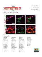 Cover image for Channels, Volume 8, Issue 2, 2014