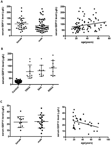 Figure 2. (A) The serum GDF11 levels in male AA patients had no significant difference from that in female patients (P > 0.05).The GDF11 level was not correlated with age in AA patients (r = 0.2183, P > 0.05). (B) The serum GDF11 levels were tested in untreated patients with VSAA, SAA and NSAA. There was no significant difference between the three groups (all P > 0.05). (C) The serum GDF11 levels in male controls had no significant difference from that in female controls (P > 0.05). The GDF11 level was not correlated with age in the normal control groups (r = −0.3532, P > 0.05).