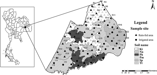 Figure 1. Study area and soil series (LDD Citation2003).