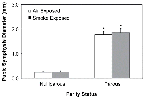 Figure 1.  Effect of cigarette smoke (CS) exposure and pregnancy on pubic symphysis diameter. *Significantly increased (p < 0.05) from both virgin exposure groups. Values represent the mean (n = 6 dams/exposure group) ± SE, determined from the 24– 48 hr post-exposure timepoint.