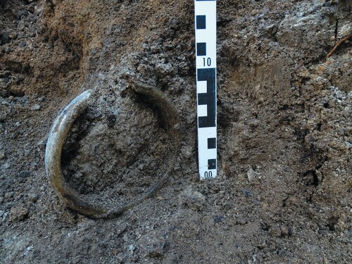 Figure 3. Rim fragment of orinal during excavation. Photo: Sovrintendenza Capitolina—The Caesar’s Forum Project.