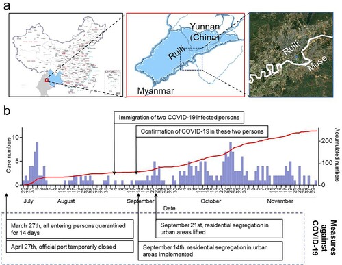Figure 2. The geographical feature of Ruili facilitated the epidemics of dengue and COVID-19. (A) The study area. (B) The daily case number (columns in purple) and the accumulated numbers (line in red) in 2020 dengue epidemic in Ruili. The COVID-19 cases and measures taken against it were shown in boxes.