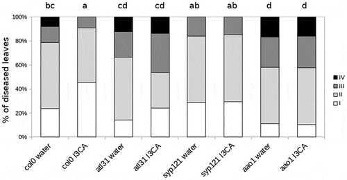 Figure 1. Infection levels quantified by a disease rating in trypan blue stained leaves, measured as a percentage of infected leaf surface. Col-0 and mutant plants were treated with I3CA and infected with P.cucumerina. Colors mean % of diseased leaves in a scale (White-healthy leaves white; light grey-leaves with less than 20% of diseased surface; dark grey-leaves with more than 20% of the diseased surface, black-leaves with 100% of the surface diseases). Different letters indicate statistically significant differences (ANOVA, Fisher’s Least Significant Difference (LSD) test; P < .05 n = 15). The experiment was repeated three times with the same result.