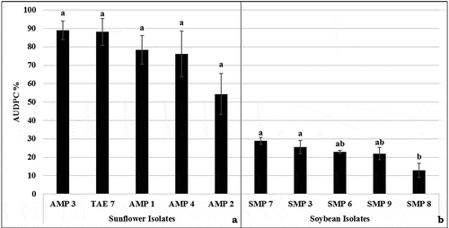 Fig. 8 Results of pathogenicity tests with Macrophomina phaseolina isolates recovered from sunflower and soybean and inoculated on sunflower (‘Deray’) and soybean (‘Yesilsoy’) using the stem-tape and cut-stem methods, respectively. The area under the disease progress curve (AUDPC), starting from the day of inoculation until the final disease assessment. Bars topped by the same letter are not significantly different (n = 5 per isolate) at p < 0.05