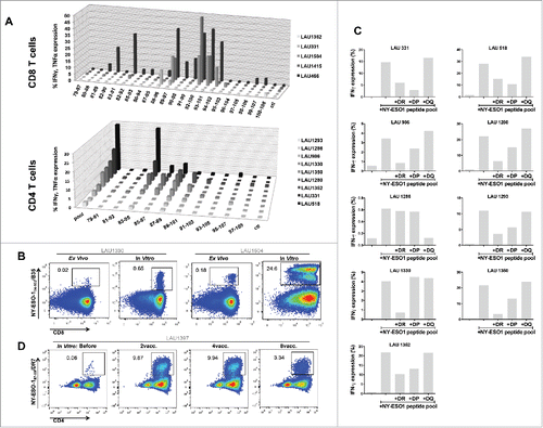 Figure 5. Mapping of NY-ESO-1-specific CD8+ and CD4+ T-cell responses. (A) Using individual overlapping peptides covering the entire NY-ESO-1 LSP sequence, NY-ESO-1-specific CD8+ T-cell responses (n = 5 patients) and CD4+ T-cell responses (n = 9 patients) were mapped, by monitoring IFNγ + TNFα (CD8+ T-cells) and IFNγ (CD4+ T-cells) production after 6-h peptide challenge. (B) Representative example of NY-ESO-194–104/B35 multimer staining directly ex vivo and after IVS of CD8+ T-cells from HLA-B35+ patients. (C) MHC class II restriction of NY-ESO-1-specific CD4+ T-cell responses was assessed in a 6-h peptide challenge in the absence or presence of blocking anti-DR, -DP, or -DQ antibodies. Specific responses were measured by quantification of IFNγ production. (D) Representative example of NY-ESO-187–99/DR7 multimer staining of IVS CD4+ T-cells obtained from HLA-DR7+ patients, before and during immunization.