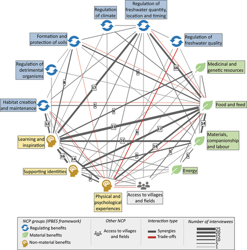 Figure 3. Synergies and trade-offs between the nature’s contributions to people (NCP) provided by dry rivers. NCP are classified according to the categories proposed by the generalising perspective of the IPBES conceptual framework. A category of NCP not included in the previous framework is also applied: access to villages and fields. Each line indicates the interaction between two NCP categories. The thickness of the line indicates the number of interviewees who reported an interaction (the thicker the line, the more interviewees). The interactions reported by more than five interviewees are shown numerically. Synergies are represented with grey lines and trade-offs with red lines.