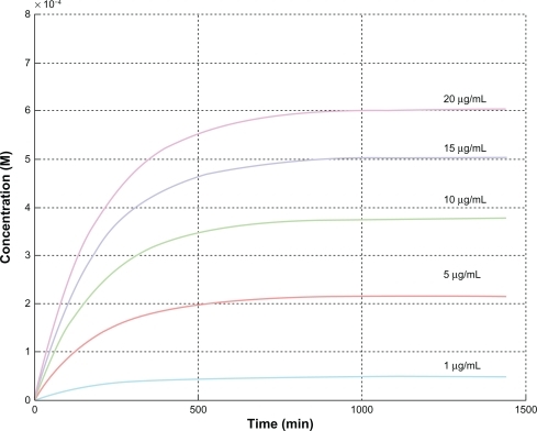 Figure 6 Prediction of the intracellular concentration, Ci (M), versus time for the different ZnO NP concentrations by mathematical modeling.