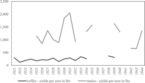 Figure 3: Land productivity for coffee and maize (measured as yields in lb per acre), 1921–44Source: Authors’ own calculations. Data is taken from the Agricultural Department annual reports 1921–44. Note: Yields are calculated using data on European production of clean coffee and maize and European coffee and maize acreages.