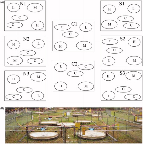 Figure 2. (A) Diagram of the distribution of mesocosm arrays at the Low Dose Irradiation Facility (LoDIF). Each square represents a mesocosm-array, consisting of five isolated mesocosms-irradiator pairs represented as circles (three with Cs137 irradiators and two non-irradiated controls). Under each mesocosm-irradiator was a bucket containing 10 fish. C: control; L: low dose (2.25 mGy/day); M: medium dose (21.01 mGy/day); H: high dose (204.3 mGy/day). (B) Picture of a mesocosm-array.