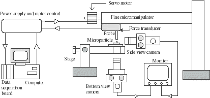 Figure 1. Schematic diagram of the micromanipulation rig.