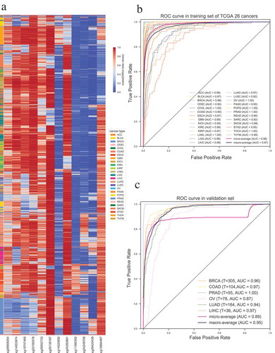 Figure 4. Construction and validation of the probe-based tumor specific classifier. (a) Unsupervised hierarchical clustering and heatmap for the methylation profile of the selected 12 probes across 7605 tumor samples of 26 cancers. (b) ROC curve of multiclass tumor specific classifier shows the high sensitivity and specificity of our classifier in predicting different cancers. (c) ROC curve in six independent validation datasets of different cancers. T indicates the number of tumor samples used in each dataset.