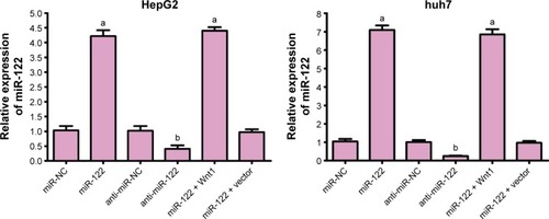 Figure 2 qRT-PCR detecting miR-122 detection levels after transfection in HepG2 and huh7 cells.