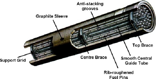 Figure 1. AGR fuel element.