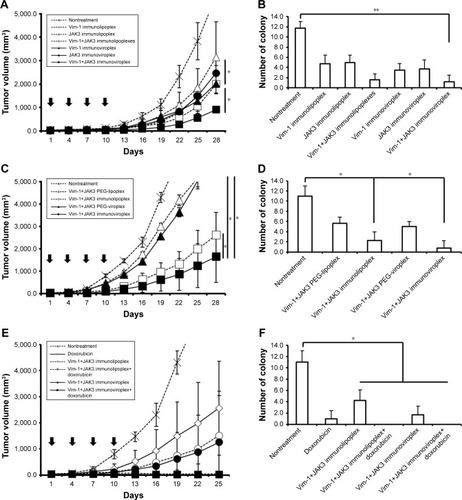 Figure 6 Inhibition of tumor progression by intravenous administration of anti-EGFR immunonanoparticles containing Vim-1 and/or JAK3 siRNAs.Notes: Anti-EGFR immunonanoparticles containing Vim-1 and/or JAK3 siRNAs were intravenously administered to mice carrying SK-OV-3 tumors. The tumor growth was measured for 25 days (E) or 28 days (A and C), and the pulmonary tumor colonies (B, D, and F) were counted on the 28th day after the treatment. First, the mice were injected with immunonanoparticles containing Vim-1, JAK3, or Vim-1 and JAK3 siRNAs (A and B). Second, EGFR-targeted or -untargeted nanoparticles containing Vim-1 and JAK3 siRNAs were injected into the mice (C and D). Lastly, a combinatorial treatment of doxorubicin and immunonanoparticles with Vim-1 and JAK3 was given to the mice (E and F). The data represent the mean±SD of n=5. *P<0.05 and **P<0.01 between test groups.Abbreviation: Vim, vimentin.