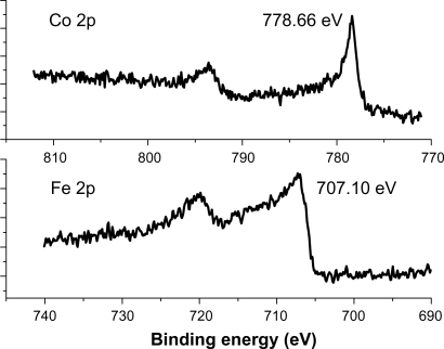 Figure 2 XPS spectra of the Co2p and Fe2p peaks represent the patterns of C-Fe and C-Co magnetic NPs.Abbreviations: