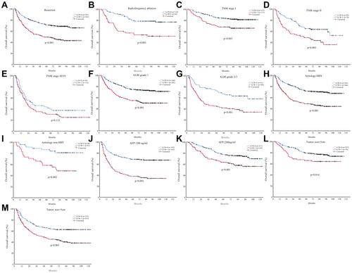 Figure 3 The prognostic significance of the LCR score in HCC patients with different disease states in the primary cohort: (A) resection, (B) radiofrequency ablation, (C) TNM stage I, (D) TNM stage II, (E) TNM stage III/IV, (F) ALBI grade I, (G) ALBI grade II/III, (H) aetiology-HBV, (I) aetiology-non-HBV, (J) AFP>200 ng/mL, (K) AFP≤200 ng/mL, (L) tumour size≤5 cm, and (M) tumour size>5 cm.