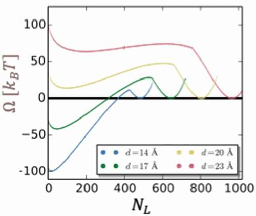 Figure 6. Free energy profile, in thermal units [kBT], as a function of the number of water molecules between hydrophobic plates as obtained by INDUS. The free energy arbitrary constant is chosen such that the value at the filled (meta)stable state is zero. The relative stability of the filled and empty state and the barrier separating them depends on the distance between the plates. Adapted from Ref. [Citation44].