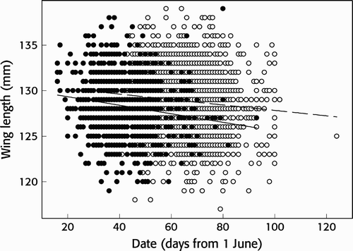 Figure 4. Seasonal trend in wing length of a) adult (black circles, P < 0.001, B = -0.04) and b) juvenile (open circles, P = 0.034, B = -3.15) Wood Sandpipers Tringa glareola at Ottenby, Sweden.