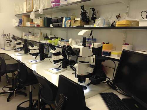 Figure 4. Room with stereomicroscopes and material for mosquito manipulation, such as dissection and injection.