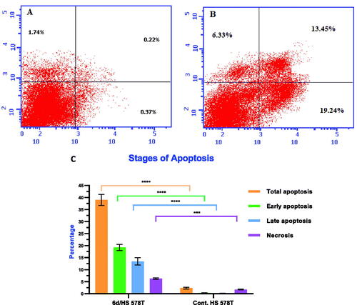 Figure 7. Effect of compound 6d on Annexin V positive staining percentage in breast cancer HS 578T cells. (A) Control HS 578T; (B) Cells treated with 6d; (C) Graphical diagram for percentage of apoptotic and necrotic cells in treated cells and untreated control cells. Statistical significance was analysed by two-way ANOVA and Tukey’s multiple comparisons test (***p < 0.001, ****p < 0.0001).