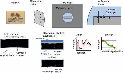 Figure 3. Schematic representation of the dimensional metrology process. The analysis consists of different steps 1) measuring the samples before exposure, 2) samples’ mounting in resin, 3) imaging of samples’ perimeters, 4) selecting of points at the metal surface and for internal damage, 5) comparing samples with pre-exposure measurements and reference samples, 6) subtracting the environmental effect by comparison to a sample exposed to the same environment without deposit, 7) plotting the resulting change in metal against location and 8) re-ordering the data based on cumulative probability [Citation23,Citation25].