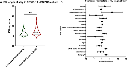 Figure 2 (A). The violin plot suggests that ICU length of stay is longer for COVID-19-infection patients than for non-COVID-19-infection patients. “**” represented p<0.01. (B). The forest plot of risk factors indicates that COVID-19 infection and undergoing surgery are associated with longer ICU length of stay. In contrast, a higher Glasgow Coma Scale (GCS) upon admission is related to a reduced length of ICU stay. AIC= 805.04. “*” represented p<0.05 and “**” represented p<0.01.