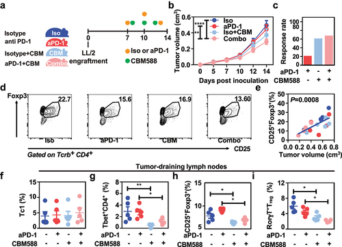 Figure 1. Supplementation with live CBM588 improves the efficacy of PD-1 blockade and lowers the accumulation of RorγT-expressing regulatory T cells at the tumor-draining lymph nodes. (a) Experimental design. Tumor-bearing C57BL/6j mice (n = 10 per condition except for the Combo group in which a mouse with a necrotic tumor was excluded) were treated with either isotype antibody (iso, dark blue line), neutralizing aPD-1 antibody (red line), CBM588 together with isotype antibody (iso + CBM, blue light line) or CBM588 together with neutralizing aPD-1 antibody (Combo, pink line). (b) Tumor growth of two independent experiments. The number of responders per group is indicated between parenthesis and determined as described in material and method section. (c) Response rate to PD-1 blockade. (d) Representative gating strategy in CD25+Foxp3+ regulatory T cells by flow cytometry analysis. The values correspond to the mean of each experimental condition. (e) Correlation of tumor-infiltrating CD25+Foxp3+ Treg cells percentage and tumor volume measures in cmCitation3 as determined by Caliper. (f) Frequency of interferon gamma-expressing CD8+ T cells (Tc1) in tumor-draining lymph nodes. (g) Frequency of tbet-expressing CD4+ cells in tumor-draining lymph nodes, (h) frequency of CD25+Foxp3+ Treg cells in tumor-draining lymph nodes, (i) frequency of RorγT-expressing Treg cells in tumor-draining lymph nodes. Except for tumor growth, a representative experiment containing 5 mice/group out of two independent experiment is depicted. For panels B, F, G, H, and I, data are plotted as means ± SEM and p values were calculated using the Mann-Whitney U test. For (B), a two-way ANOVA is used. p < .05(*), p < .005(**), p<,0001 (****).