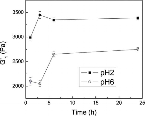 Figure 2 Evolution of storage modulus at 1 rad/s (G’1) for CFPI gels at 100 g kg1 as a function of storage time at pH 2 and 6. (Color figure available online.)