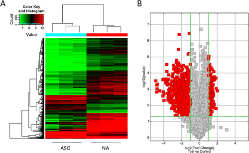 Figure 3 Differentially expressed circRNAs between normal and ASO arterial tissues.