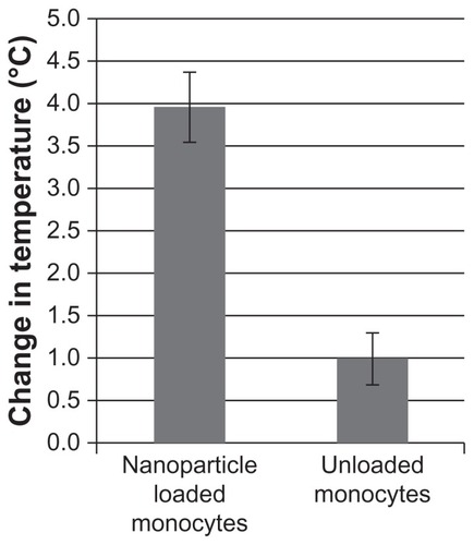 Figure 6 Heat generation by nanoparticle-loaded monocyte/macrophage-like cells.