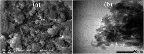 Figure 5. Images of nanosilica observed using: a). SEM and b). TEM.