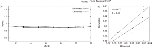 Figure 12. Results of fAPAR after hierarchical calibration. The graphs represent (a) a year of monthly data and (b) scatter plot.