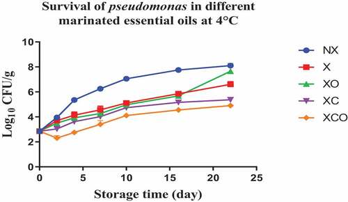 Figure 3. Population increase of pseudomonas (log10 CFU/g ± SEM) in different marinated essential oils samples after storage for 0, 2, 4, 7, 10, 16, and 22 days at 4°C. NX-Non marinated, X- Marinated, XO- Marinated +Oregano oil, XC- Marinated +Citrox, XCO- Marinated + Citrox+ Oregano oil.