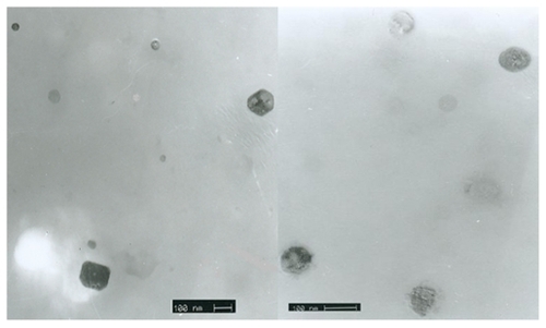 Figure 6 Transmission electron microscopy shows nanoparticles with regular shapes.