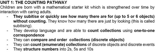 Figure 3. Introduction to the counting pathwaySource: Roberts et al. (Citation2021: 14)