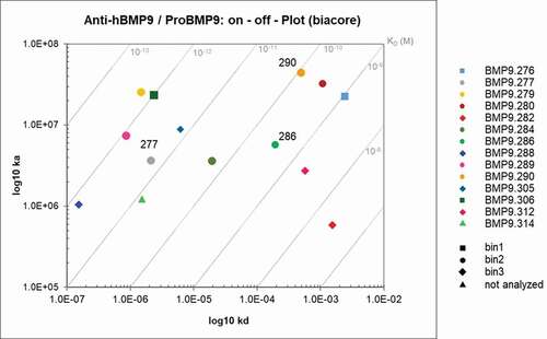 Figure 9. Kon/Koff plot – epitope bins of selected hits. Highlighted were the antibodies according to their respective epitope bins analyzed by SPR