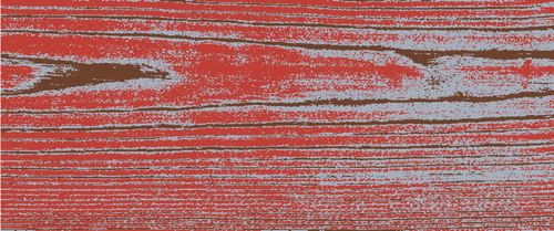 Figure 4. Spatial early-/latewood segmentation of one of the samples in the study (sample S7). Brown color indicates pixels classified as latewood and red color indicates pixels classified as earlywood. Gray color indicates intermediate wood which was not treated as either early- or latewood.