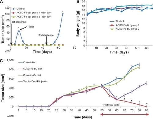 Figure 4 In vivo antitumor efficacy of ceramic NCs.Notes: (A) Within 1 week after the injection of 107 cancer cells, tumors (~45.6 mm3) were developed in control diet–fed mice and were terminated by injecting Taxol (IP) when challenged for the second time, ~100.3 mm3 tumors were observed in 4 weeks. In neither of the cases (first challenge or the second challenge), significant tumors were developed in the treatment groups of mice. (B) Average body weight of the control group remained at 14.41 g, whereas treatment groups showed an increase in body weight up to 17.32 g. (C) ASCS-Fe-bLf NC diet showed 10-fold reduction in tumor volume from 55th day to 80th day, and on 85th day, the tumor was completely absent. Data represent mean ± standard error of the mean (n=5). *P<0.05.Abbreviations: ACSC, alginate-enclosed chitosan-coated calcium phosphate; Dox, doxorubicin; Fe-bLf, iron-saturated bovine lactoferrin; IP, intraperitoneal; NCs, nanocapsules/nanocarriers.